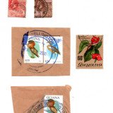 guyana-fort-wellington