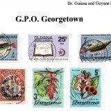 guyana-g.p.o.-georgetown