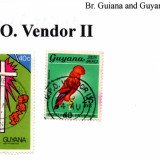 guyana-g.p.o.-vendor-II