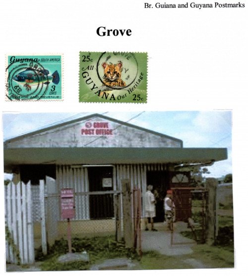 guyana-grove.jpg