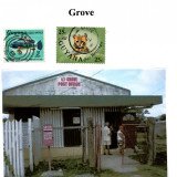 guyana-grove