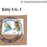 guyana-kitty-ctr.-1