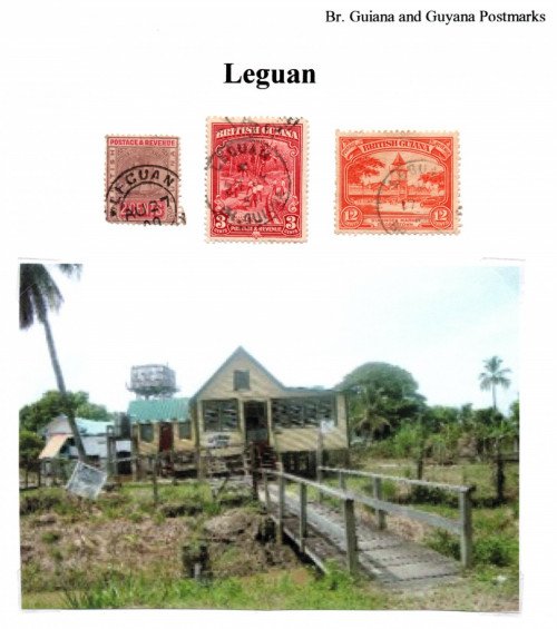guyana-leguan.jpg