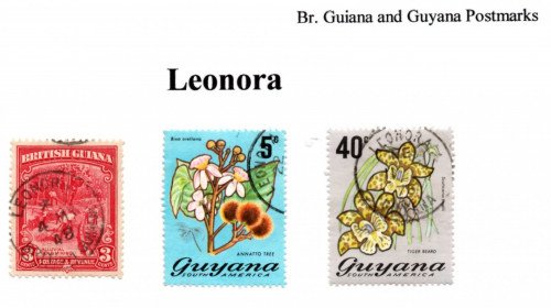 guyana-leonora.jpg