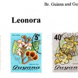 guyana-leonora