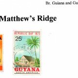 guyana-matthews-ridge