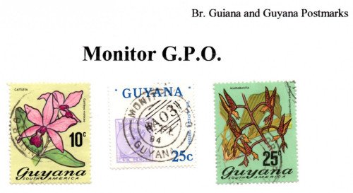 guyana-monitor-g.p.o.jpg