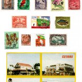 guyana-new-amsterdam