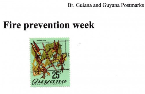 guyana-fire-prevention.jpg
