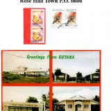 guyana-rose-hall-town-p.o.-0606