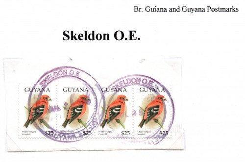 guyana-skeldon-o.e.jpg