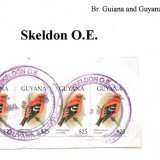 guyana-skeldon-o.e