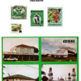 guyana-skeldon