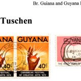 guyana-tuschen
