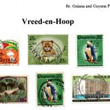 guyana-vreed-en-hoop