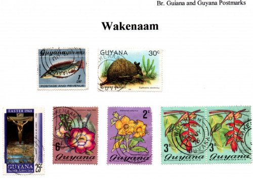 guyana-wakenaan.jpg