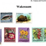 guyana-wakenaan
