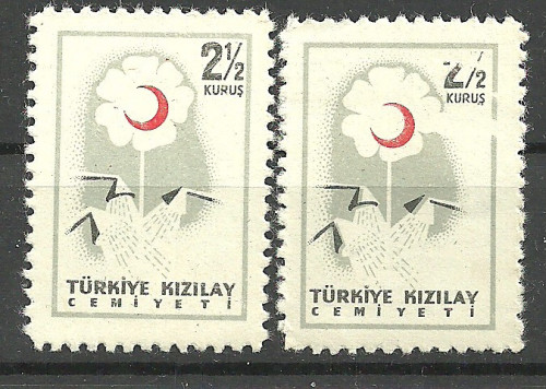 Scan_20200715-6.jpg