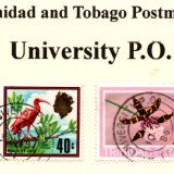 t-ana-t-university-p.o.