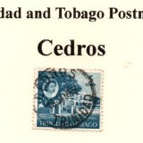 t-and-t-cedros