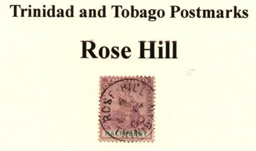 t-and-t-rose-hill.jpg