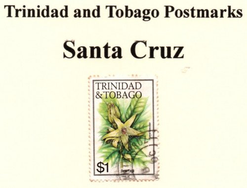 t-and-t-santa-cruz.jpg