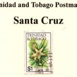 t-and-t-santa-cruz
