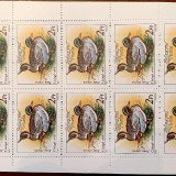 42492191-9535-4A5B-8F0B-49E11E9CB437