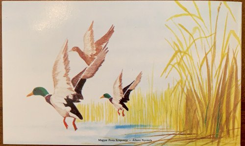 (16) Hungary, Scott Nr 3138a (1988) Prestige Booklet Back Cover