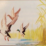 92DB3CCA-F2DE-452E-AA69-36B7D27C0861