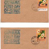 guy-covers-99