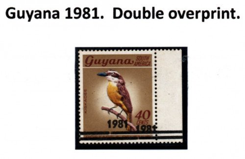 guyana-errors-2.jpg