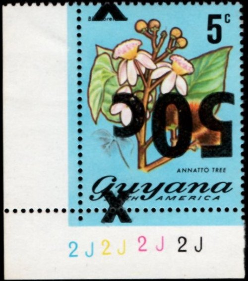 guyana-errors-5.jpg