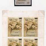 Scan_20201021-10b73a9837faa9947a