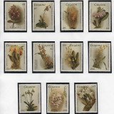 Scan_20201021-3f9a588981686e4f3