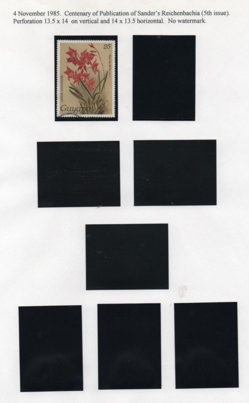 Scan_20201021-4.jpg
