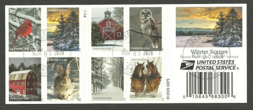 Scan_20201121-3.jpg