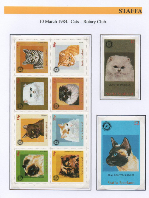 Scan_20210210.jpg