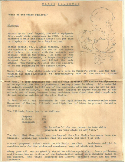 Scan_20210321-3.jpg