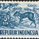 1956-Indonesia-5-sen-Basic-series