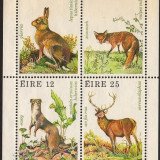 Ireland-0483a-16011903uj-25p