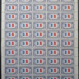 US0915-2021060201m-pane50-50p