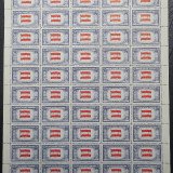 US0919-2021060208m-pane50-50p