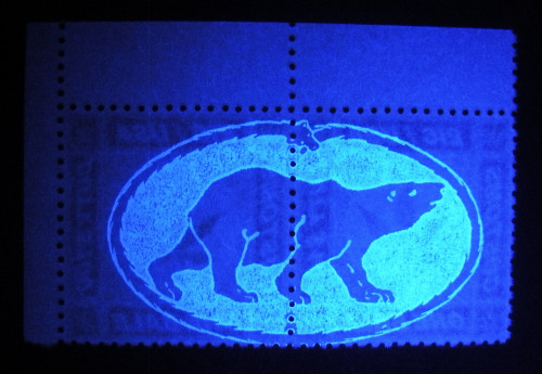 EIC-Special-Commerce-Corner-Pair-Backside-showing-Stalking-Bear-Invisible-UV-Security-Feature.jpg