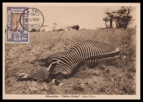 Ethiopia-120-r75.jpg