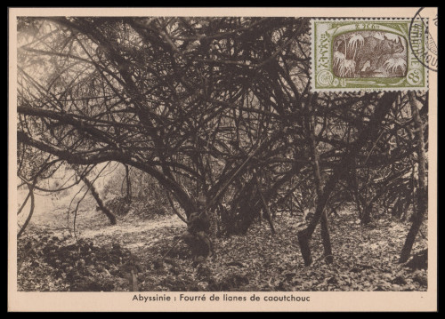 Ethiopia-127-1931-r75.jpg