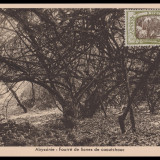 Ethiopia-127-1931-r75