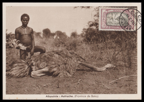 Ethiopia-128-1931-0517-r75.jpg
