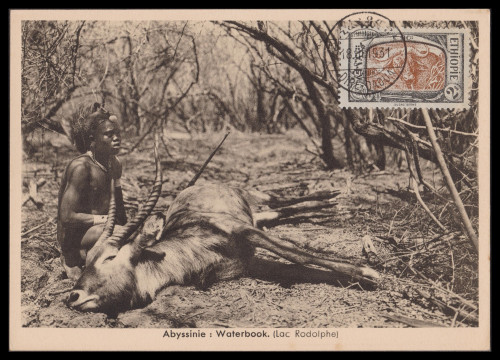 Ethiopia-130-1931-0318-r75.jpg