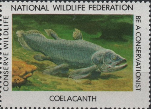 1979-coelacanth.jpg
